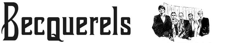 Chameleon Logo
